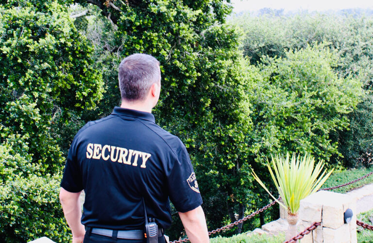 Why Hiring Professional Security Guards for Your Workplace Is Important