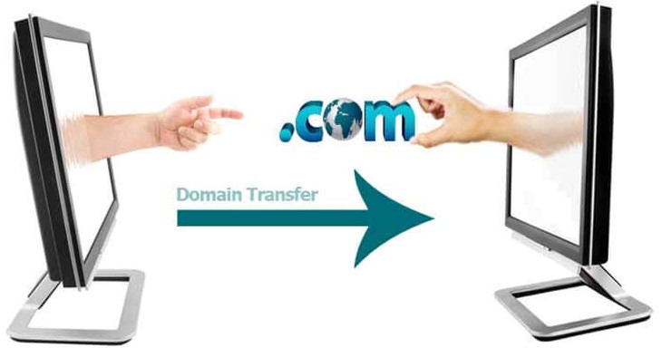 Transfer the domain name